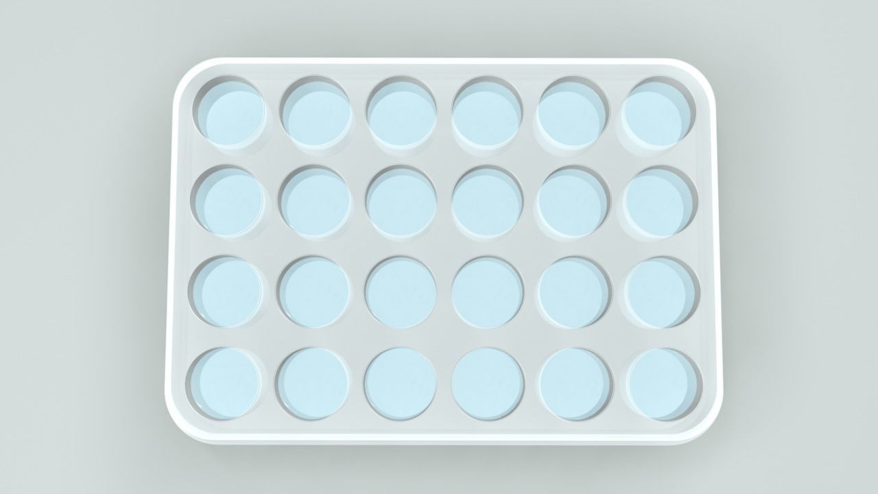 24 Wells Plate 3D model_15