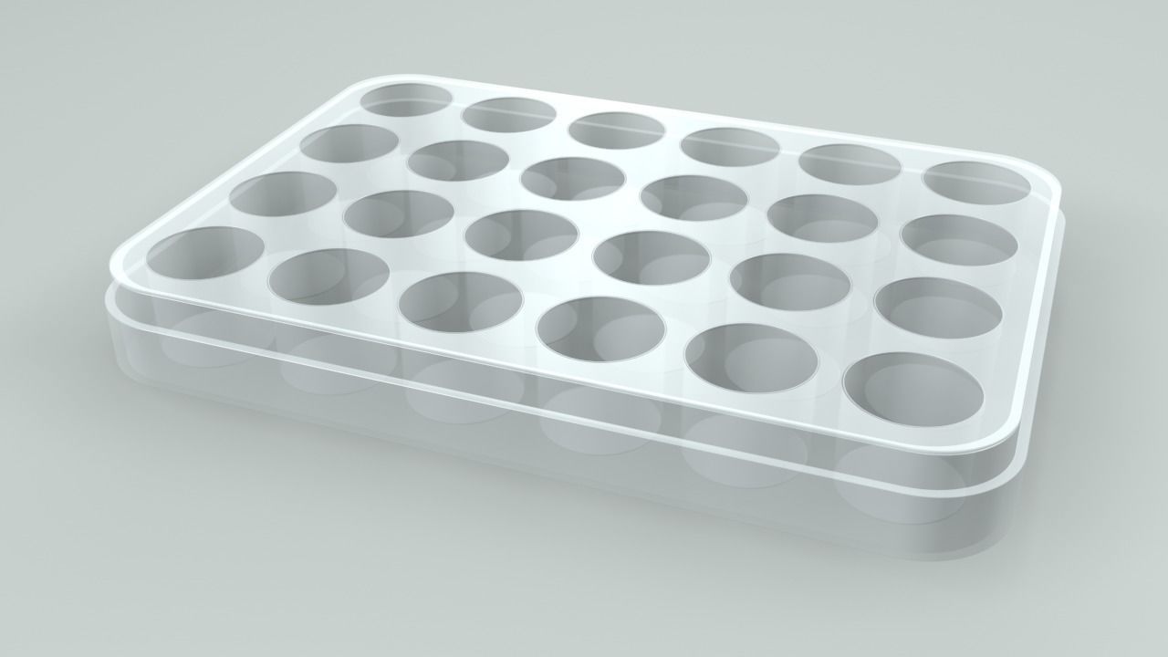 24 Wells Plate 3D model_1