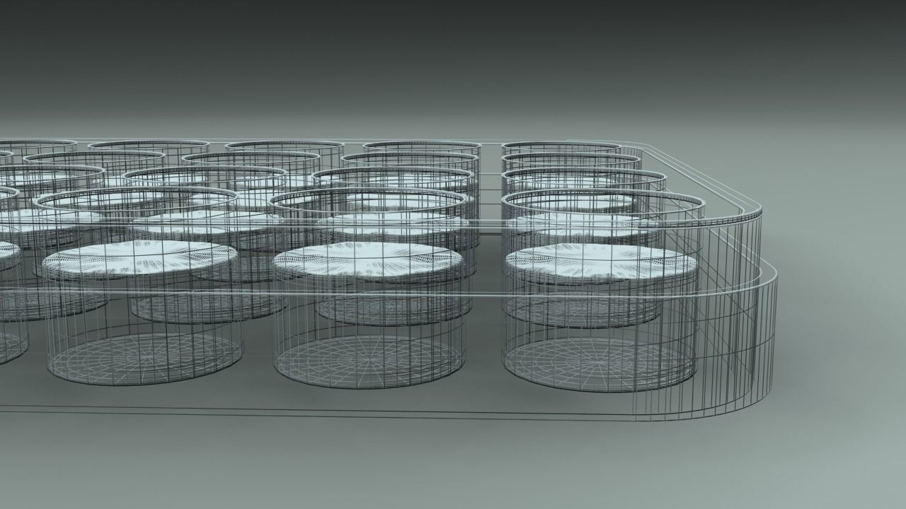 24 Wells Plate 3D model_5