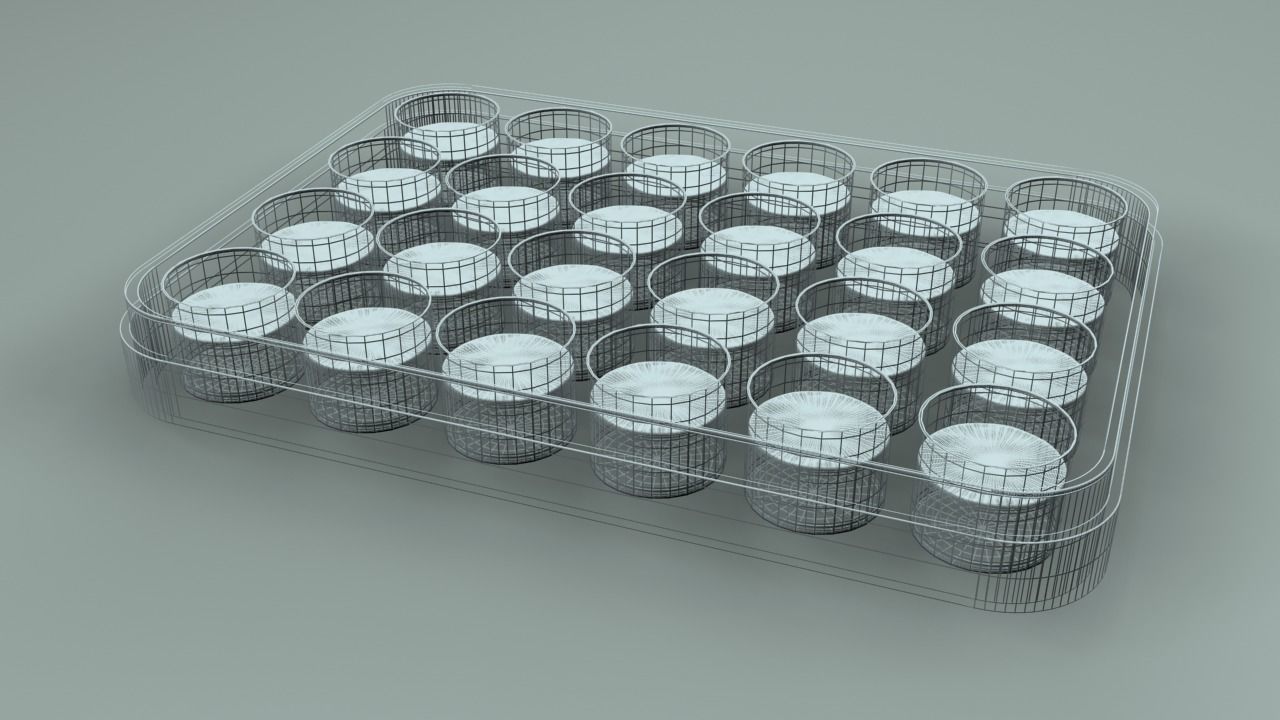 24 Wells Plate 3D model_4