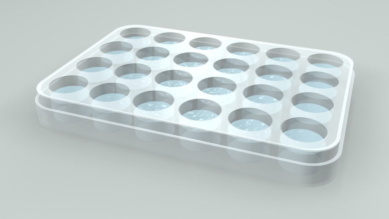 24 Wells Plate 3D model_9