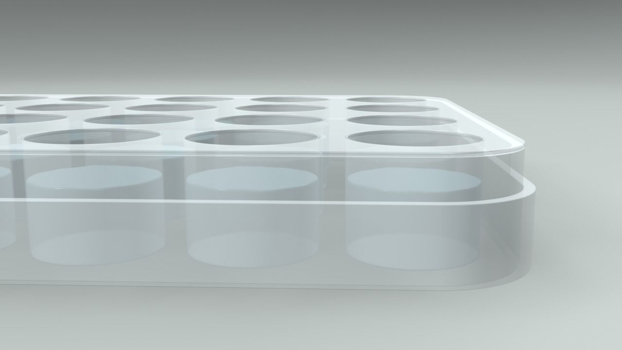 24 Wells Plate 3D model_10