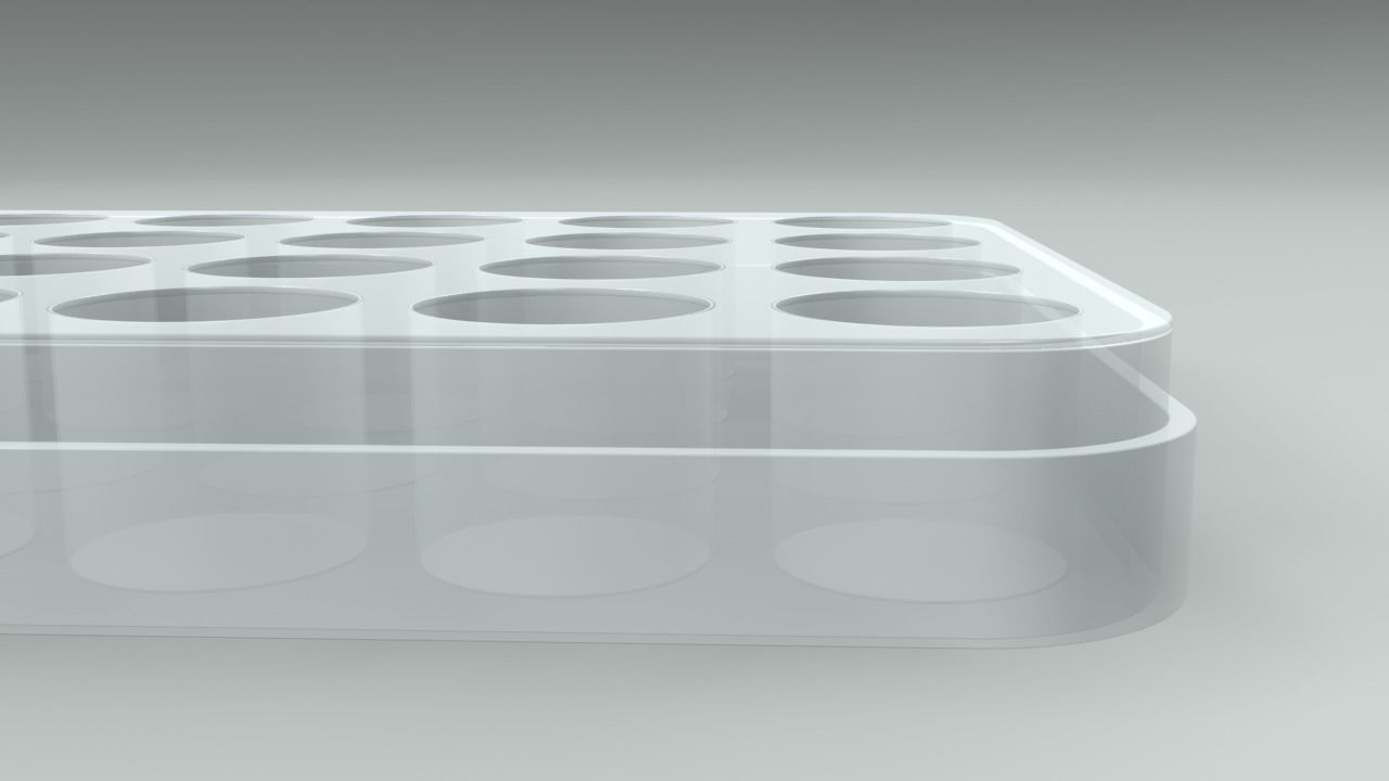 24 Wells Plate 3D model_6