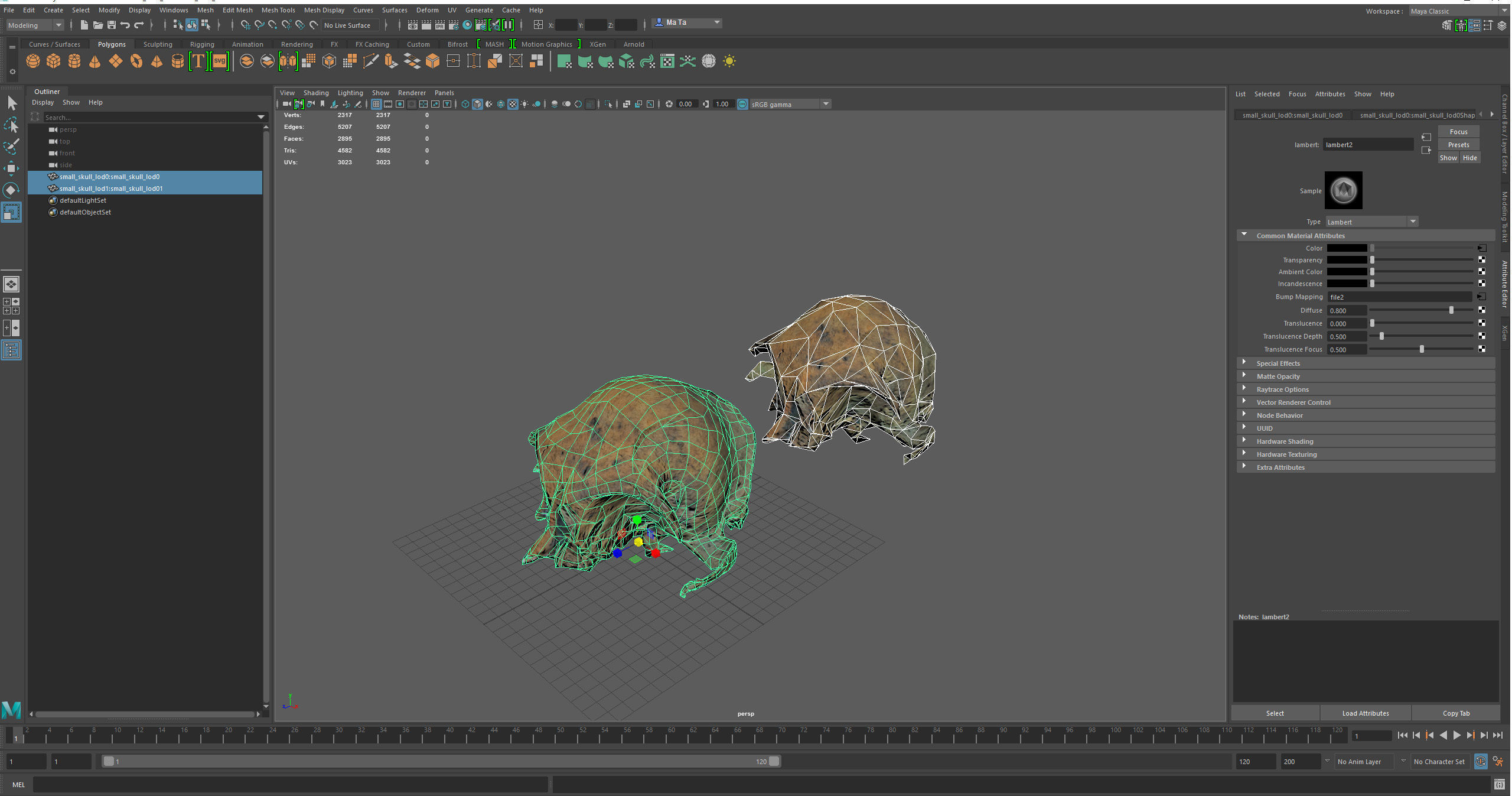 Small photorealistic rodents skull Low-poly 3D model_16