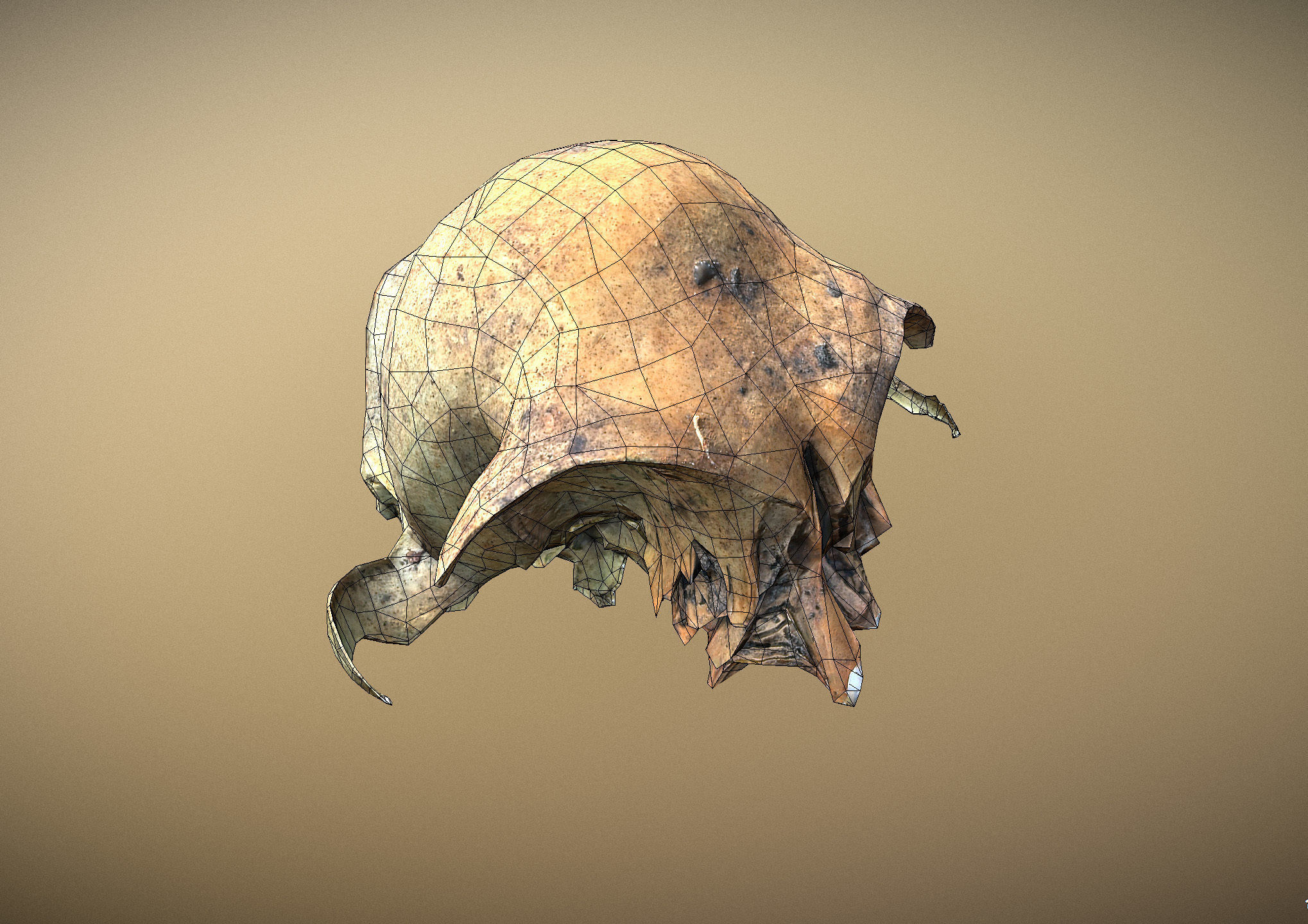 Small photorealistic rodents skull Low-poly 3D model_9