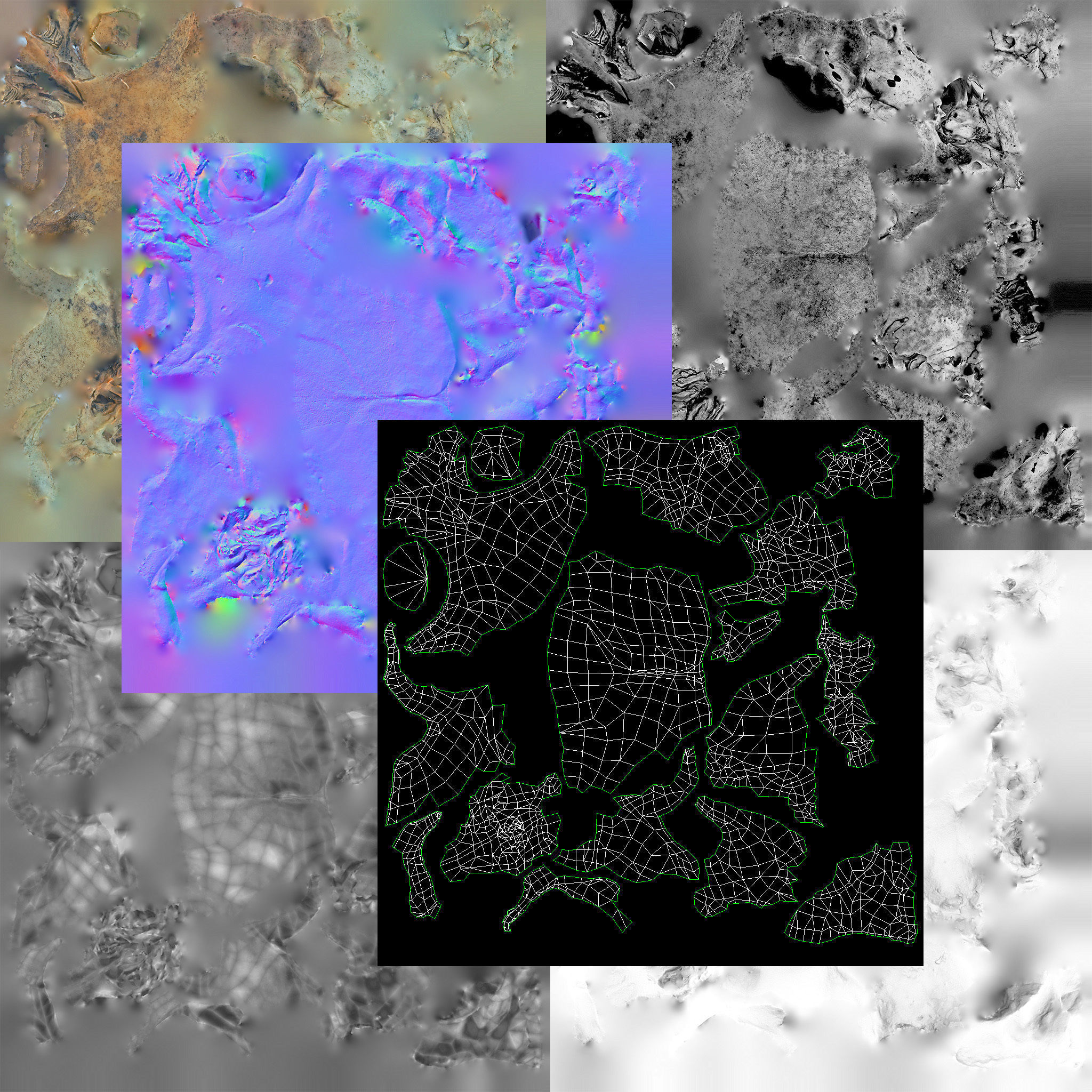 Small photorealistic rodents skull Low-poly 3D model_17