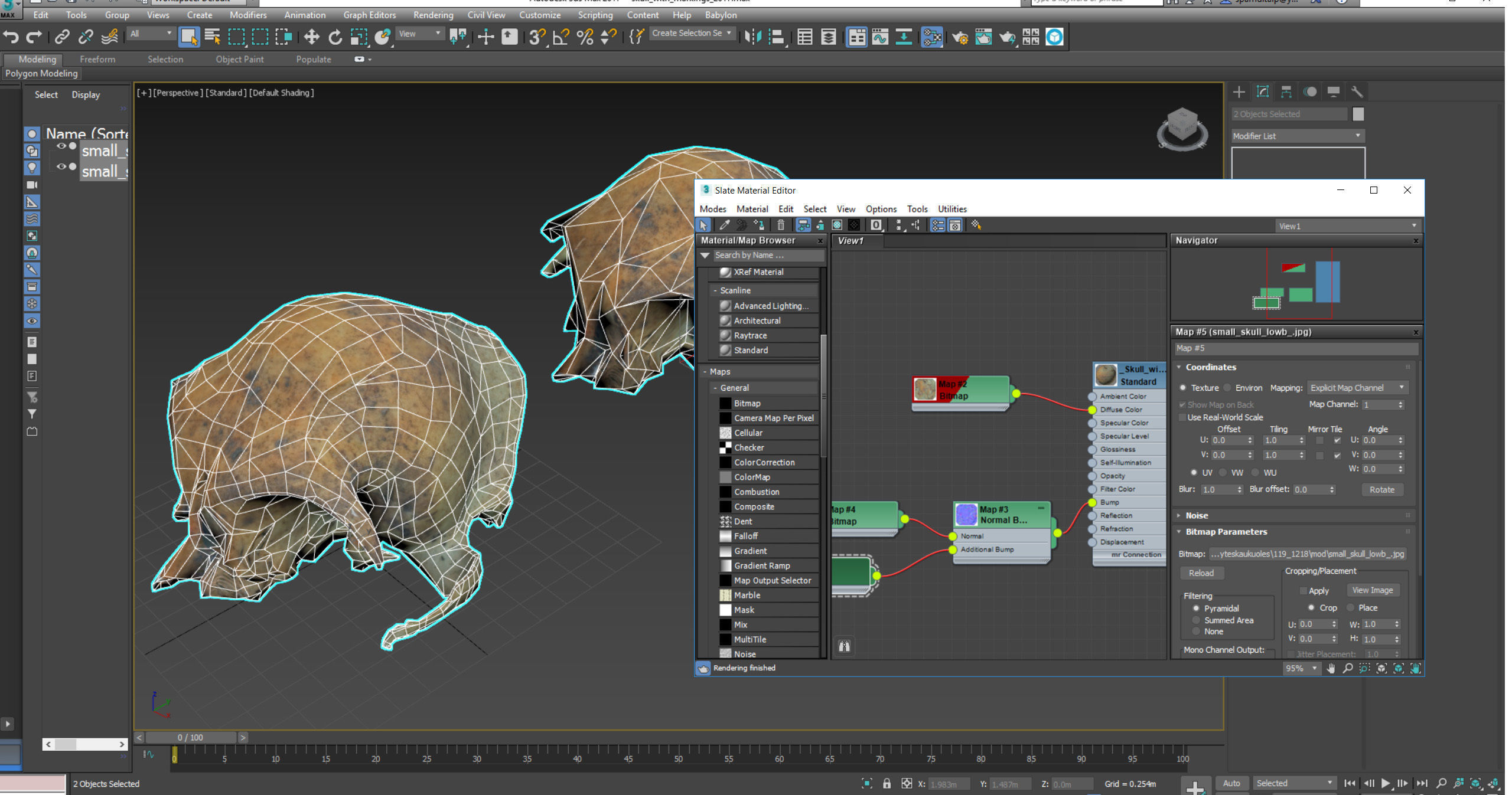 Small photorealistic rodents skull Low-poly 3D model_18