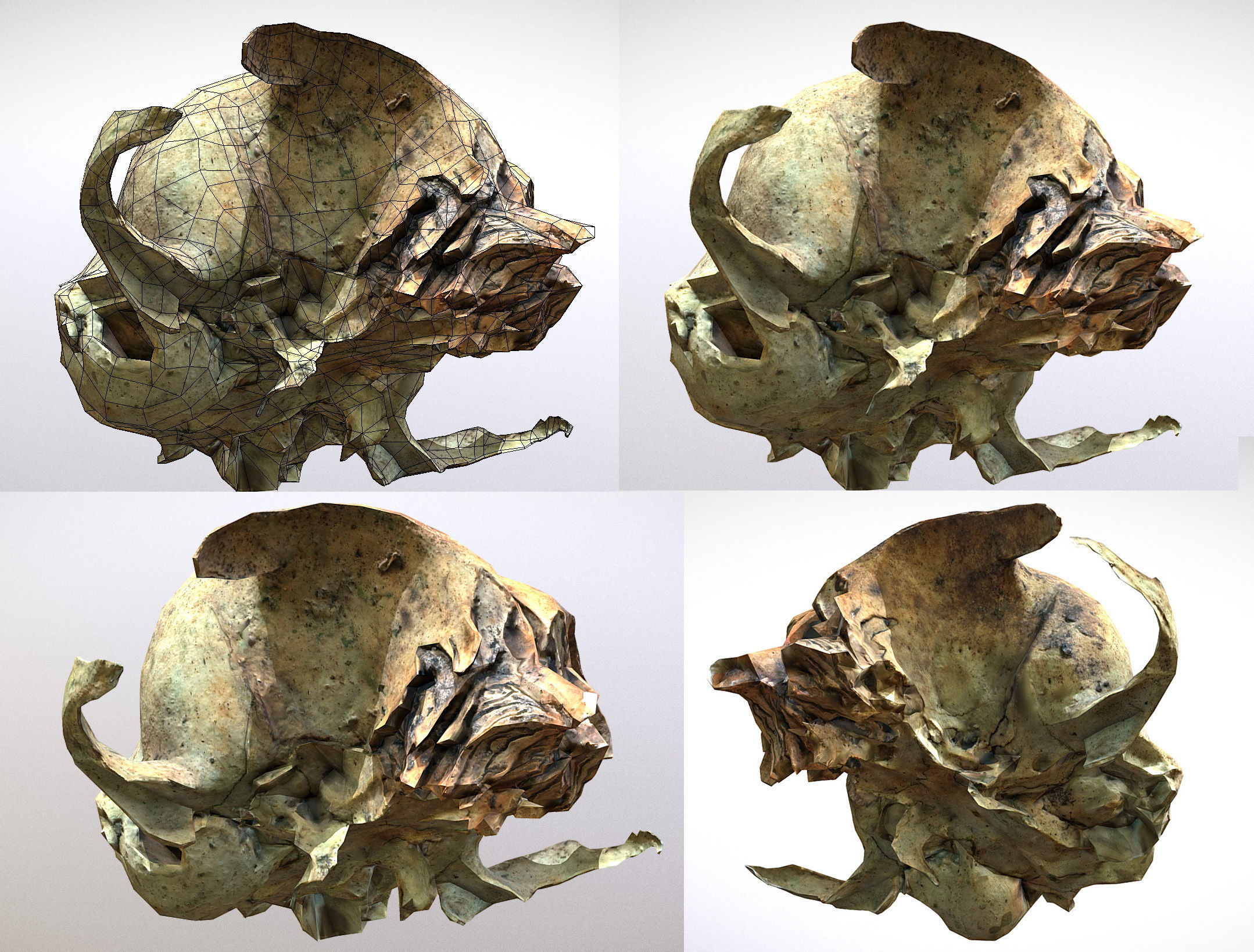 Small photorealistic rodents skull Low-poly 3D model_2