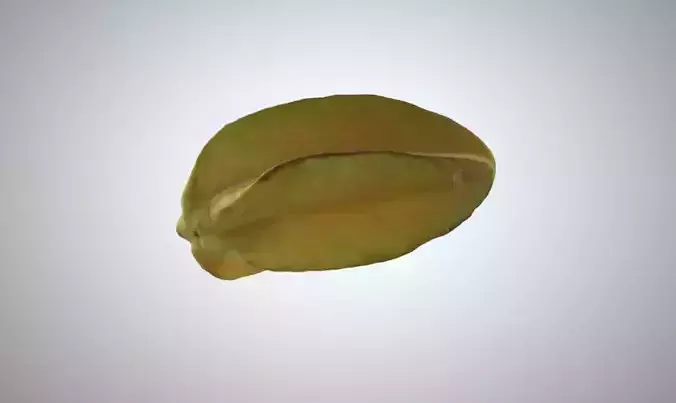 Starfruit pistachio 3D print model