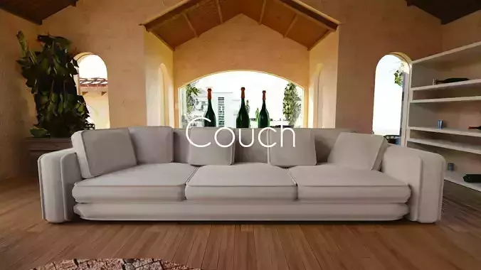 Luxury Couch 