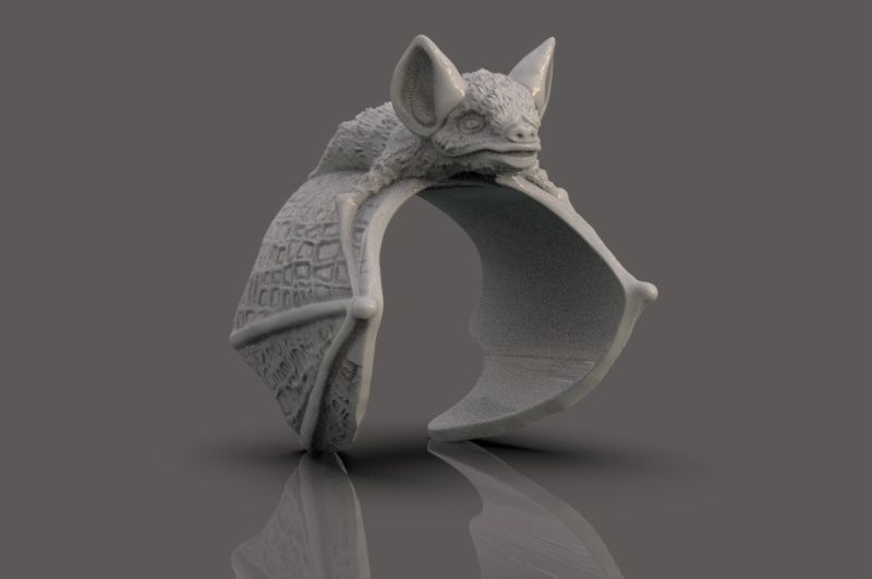 Ring of the Bat 3D print model_5