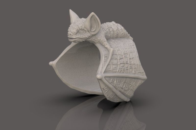 Ring of the Bat 3D print model_9