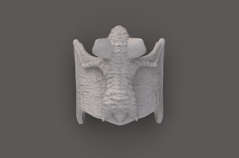 Ring of the Bat 3D print model_10