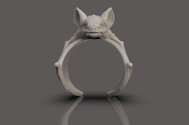 Ring of the Bat 3D print model_8