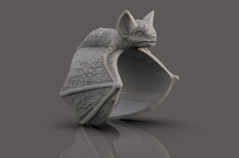 Ring of the Bat 3D print model_6