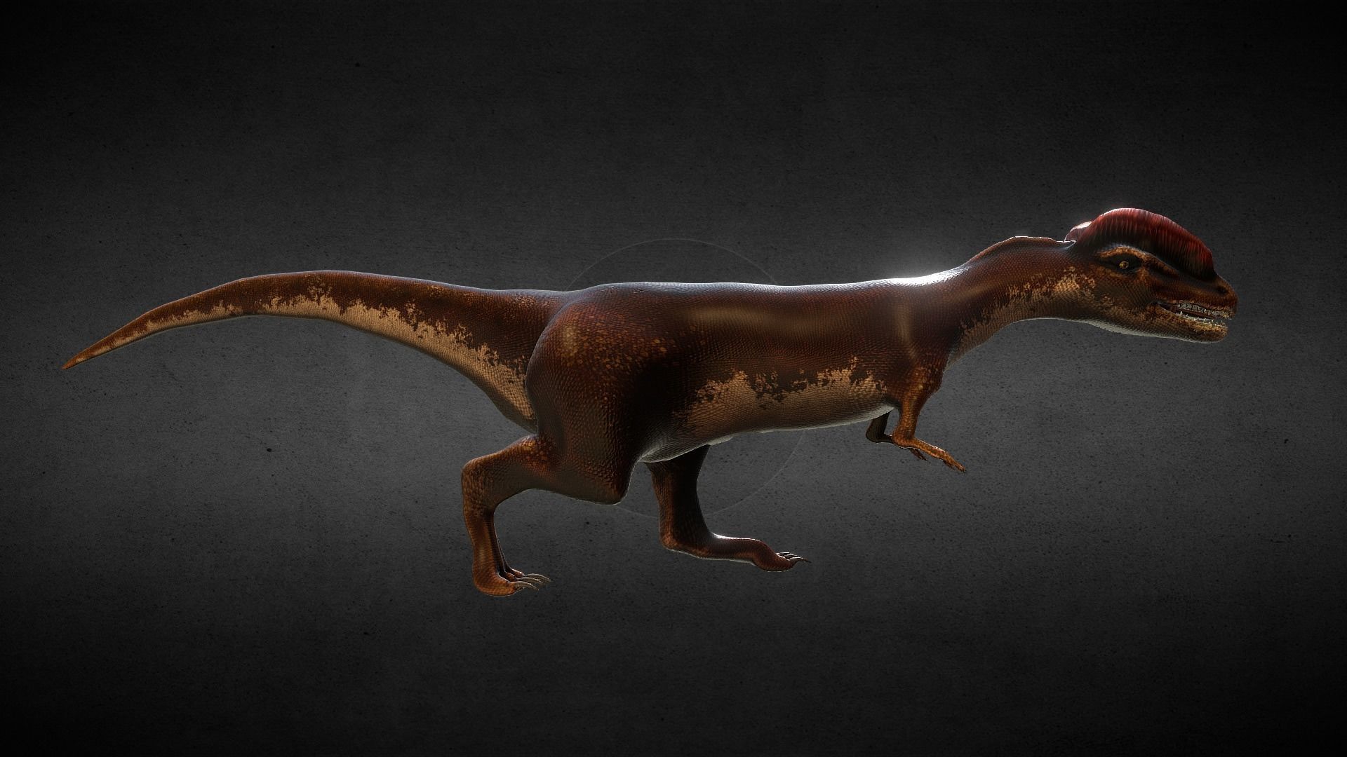 Dilophosaurus Jurassic Dinosaur Low-poly 3D model_3