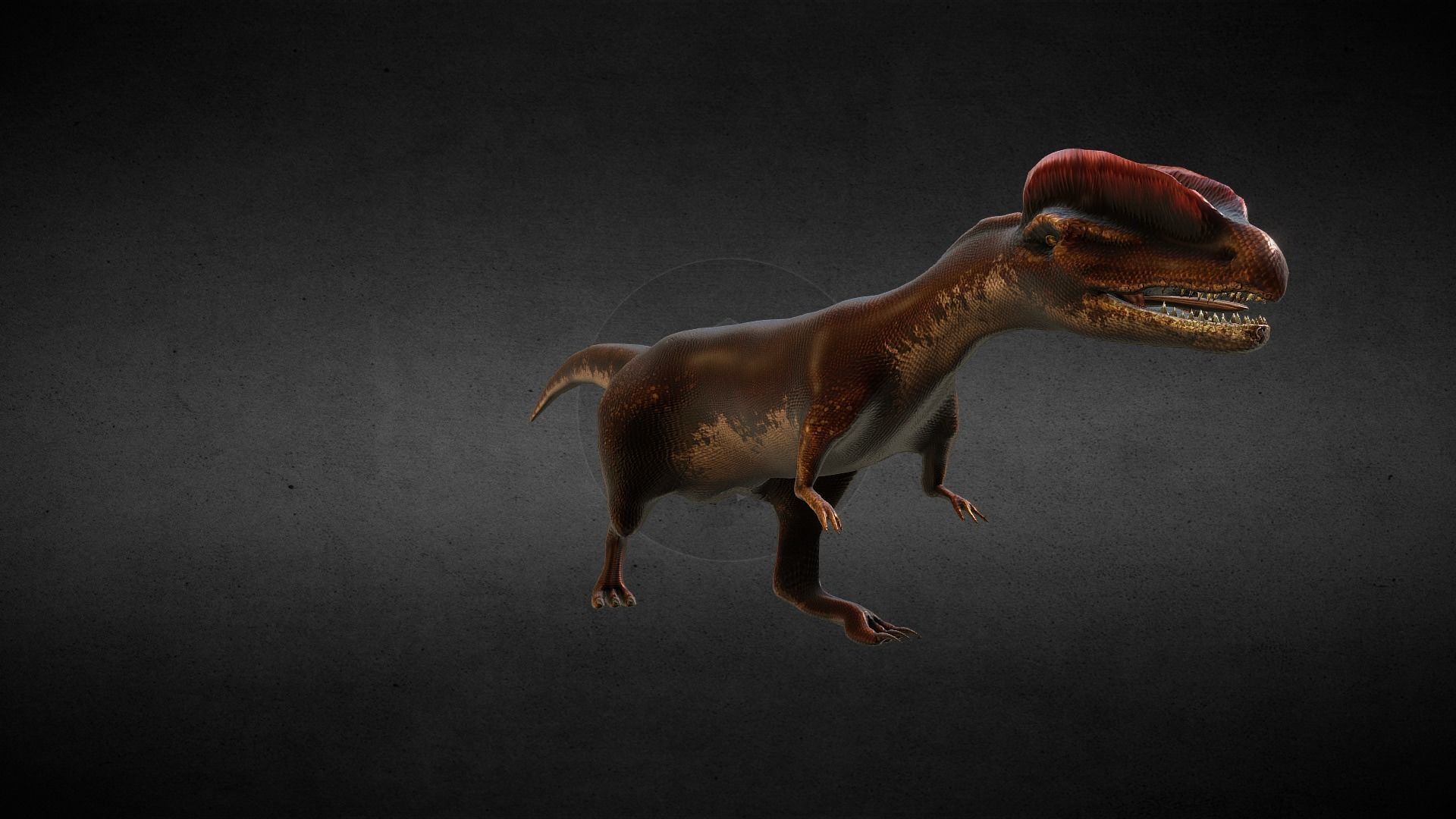 Dilophosaurus Jurassic Dinosaur Low-poly 3D model_4