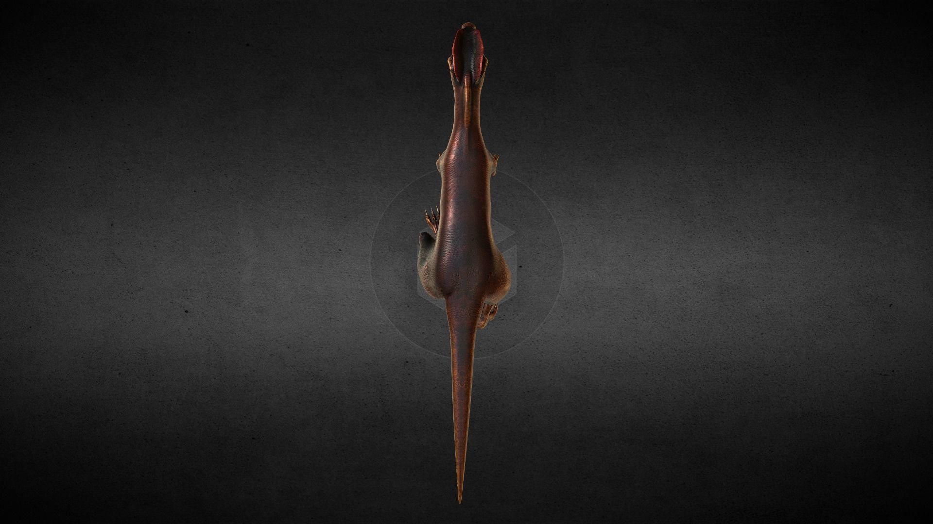 Dilophosaurus Jurassic Dinosaur Low-poly 3D model_2