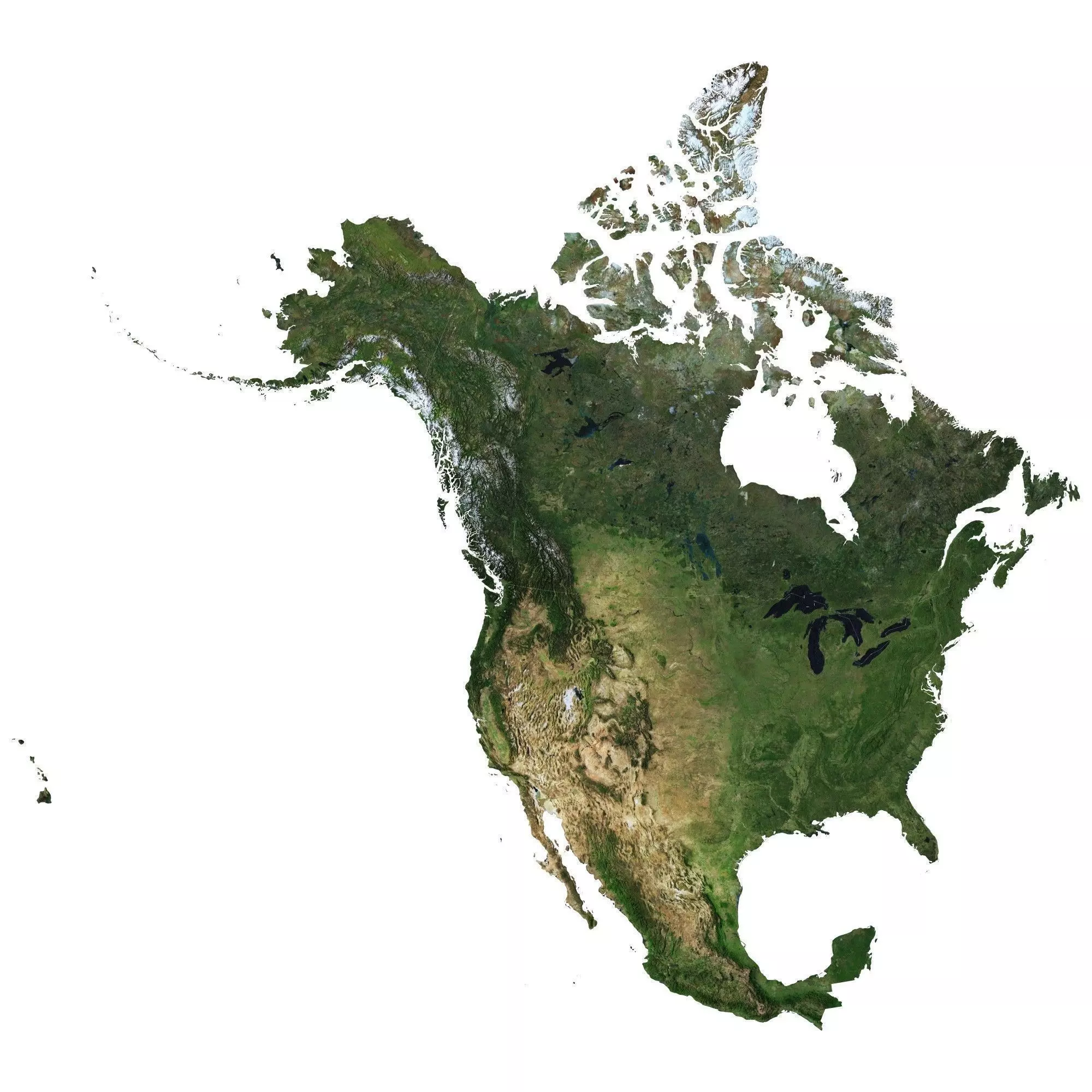 High detailed relief map of USA-Canada-Mexico 3D model_0