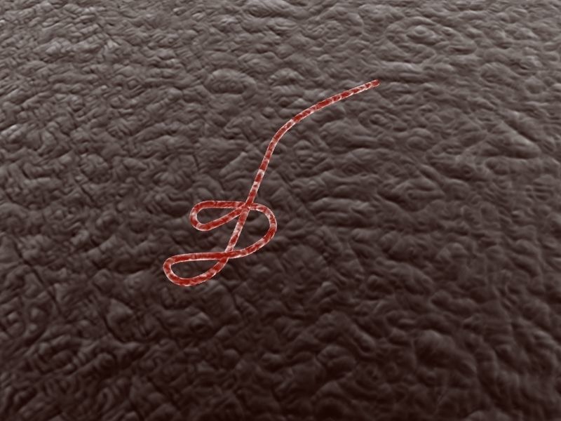 Ebola virus 3D model_1