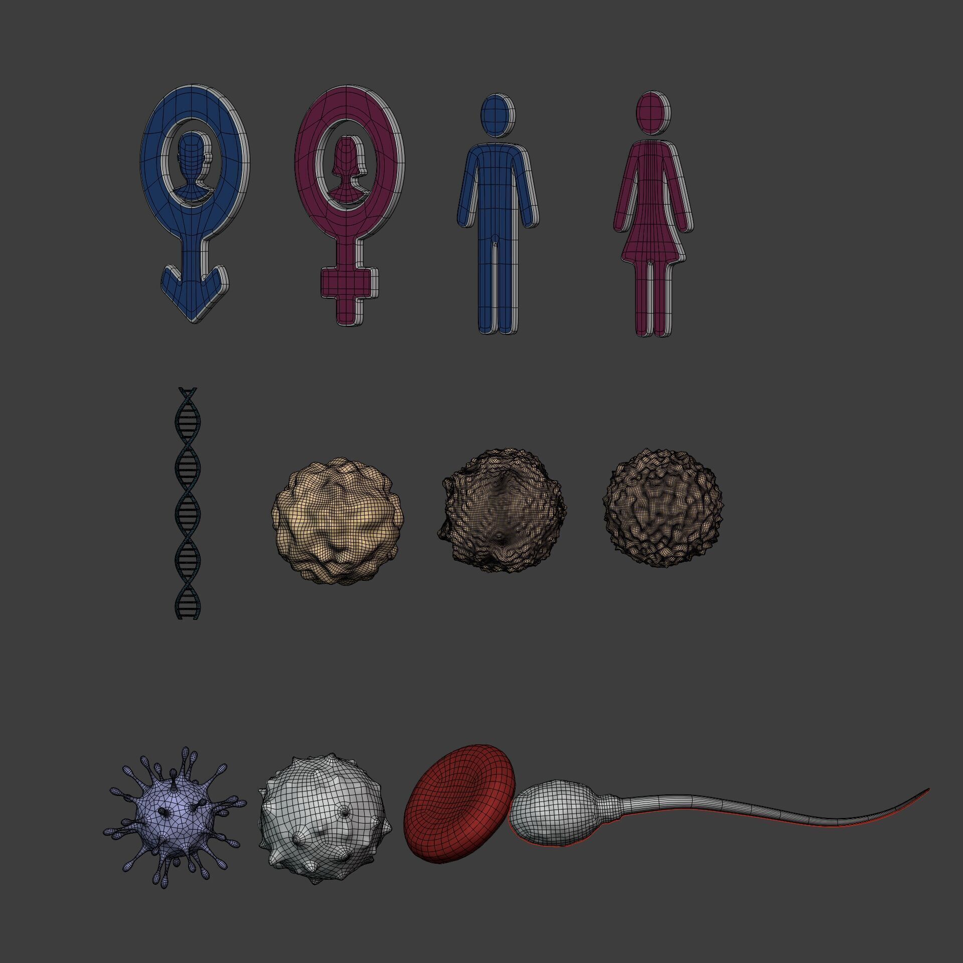 Anatomy Cell - DNA - RNA - Molecule - Helix - Genomic Design 3D model_3