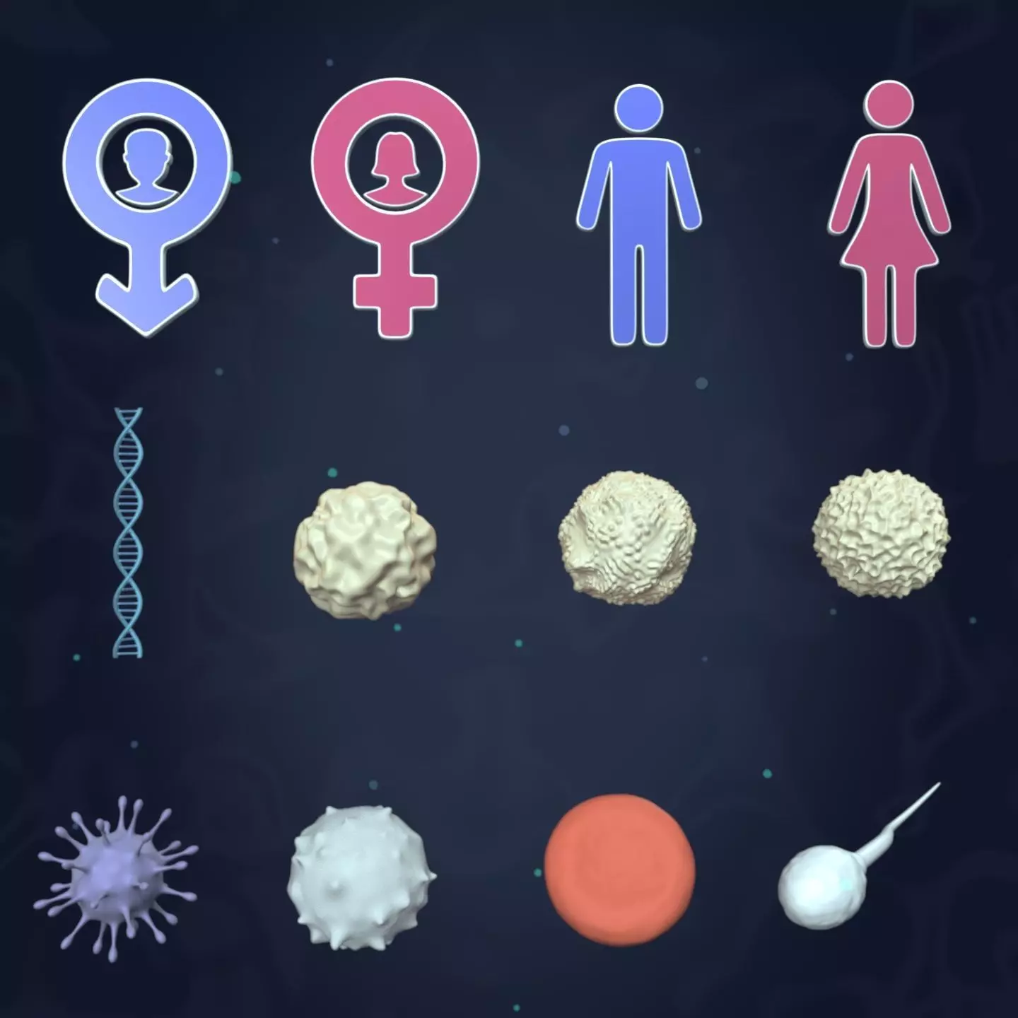 Anatomy Cell - DNA - RNA - Molecule - Helix - Genomic Design 3D model_0