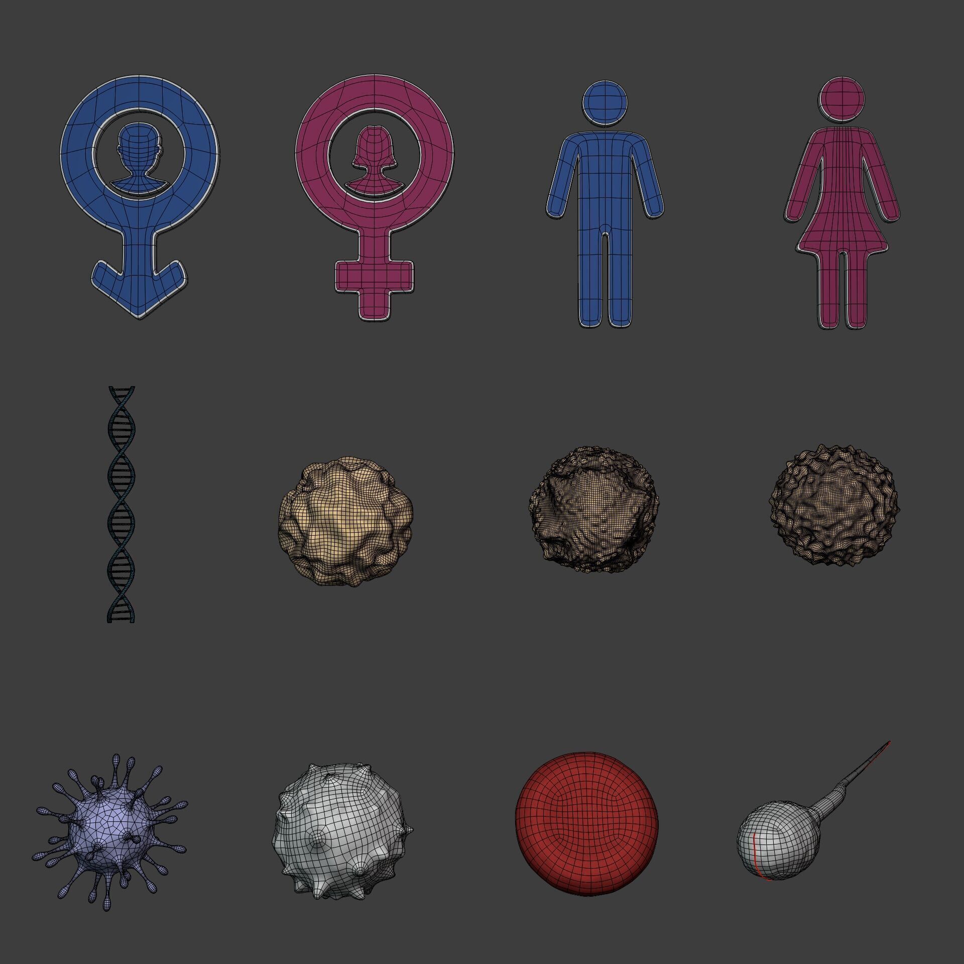 Anatomy Cell - DNA - RNA - Molecule - Helix - Genomic Design 3D model_1