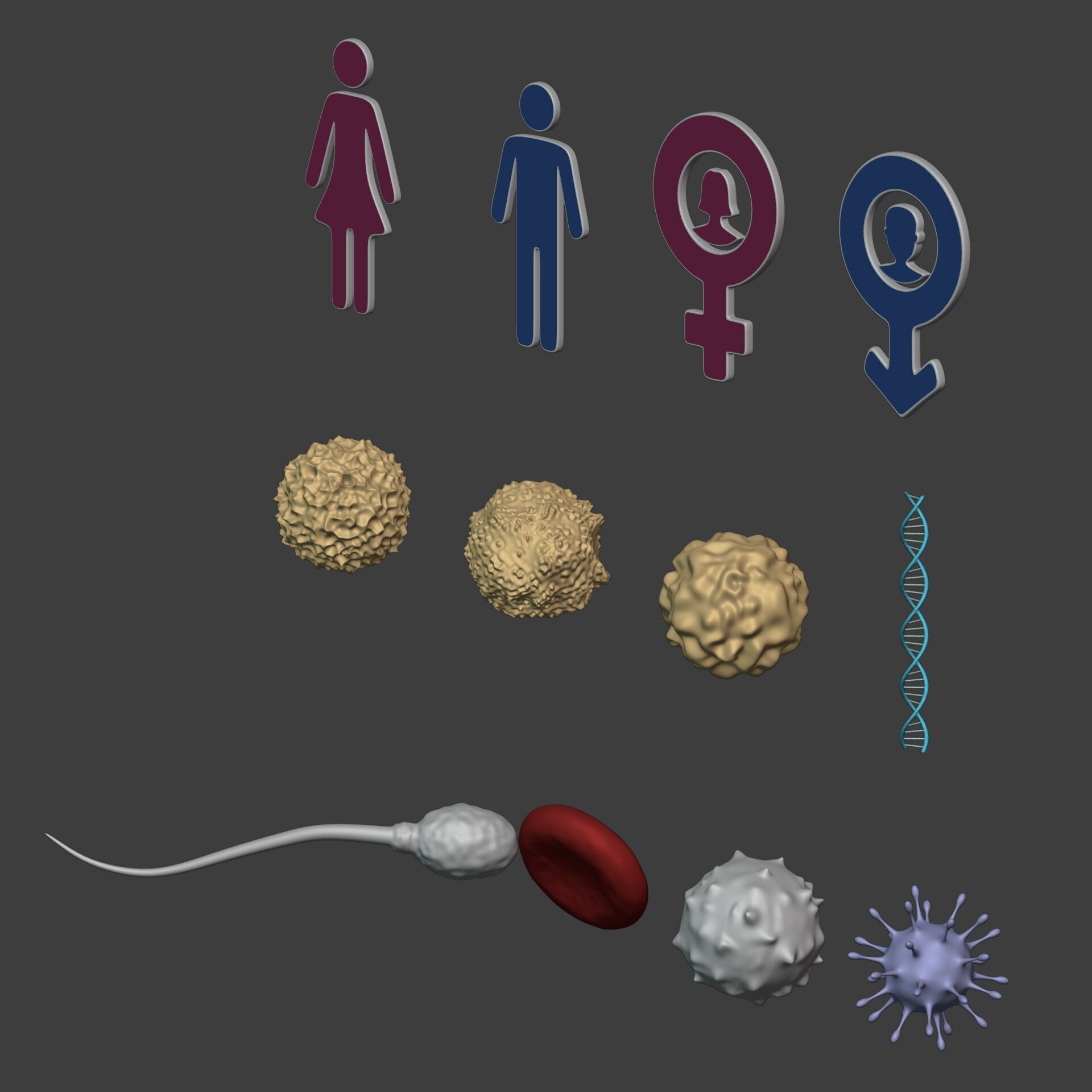 Anatomy Cell - DNA - RNA - Molecule - Helix - Genomic Design 3D model_6