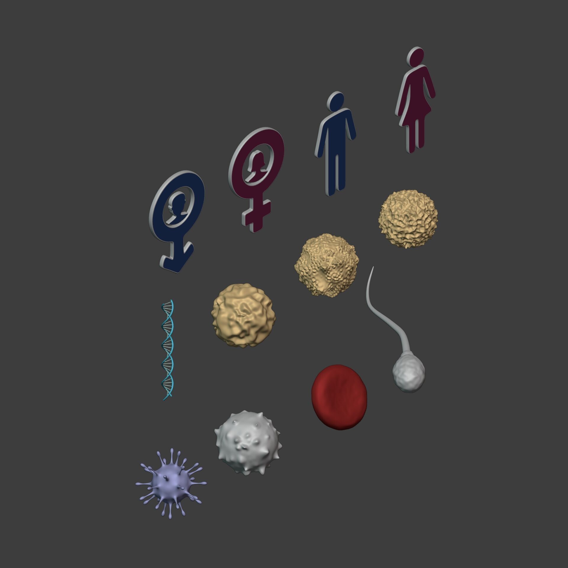 Anatomy Cell - DNA - RNA - Molecule - Helix - Genomic Design 3D model_4