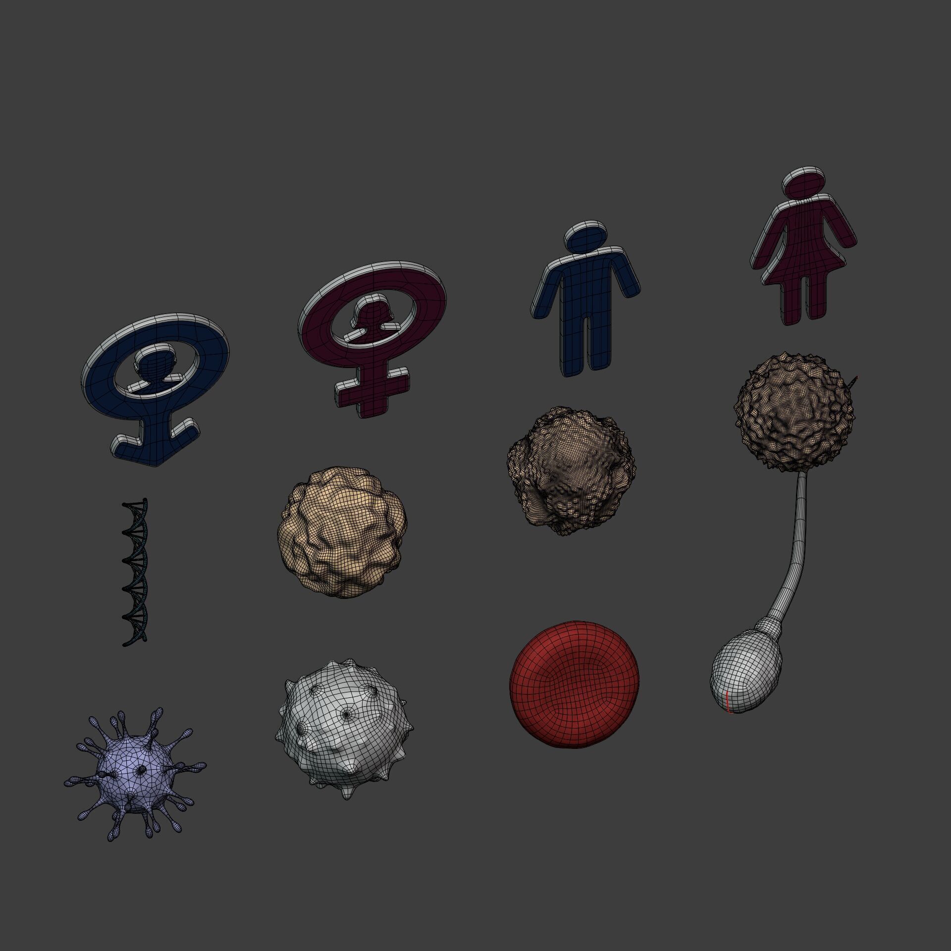 Anatomy Cell - DNA - RNA - Molecule - Helix - Genomic Design 3D model_9