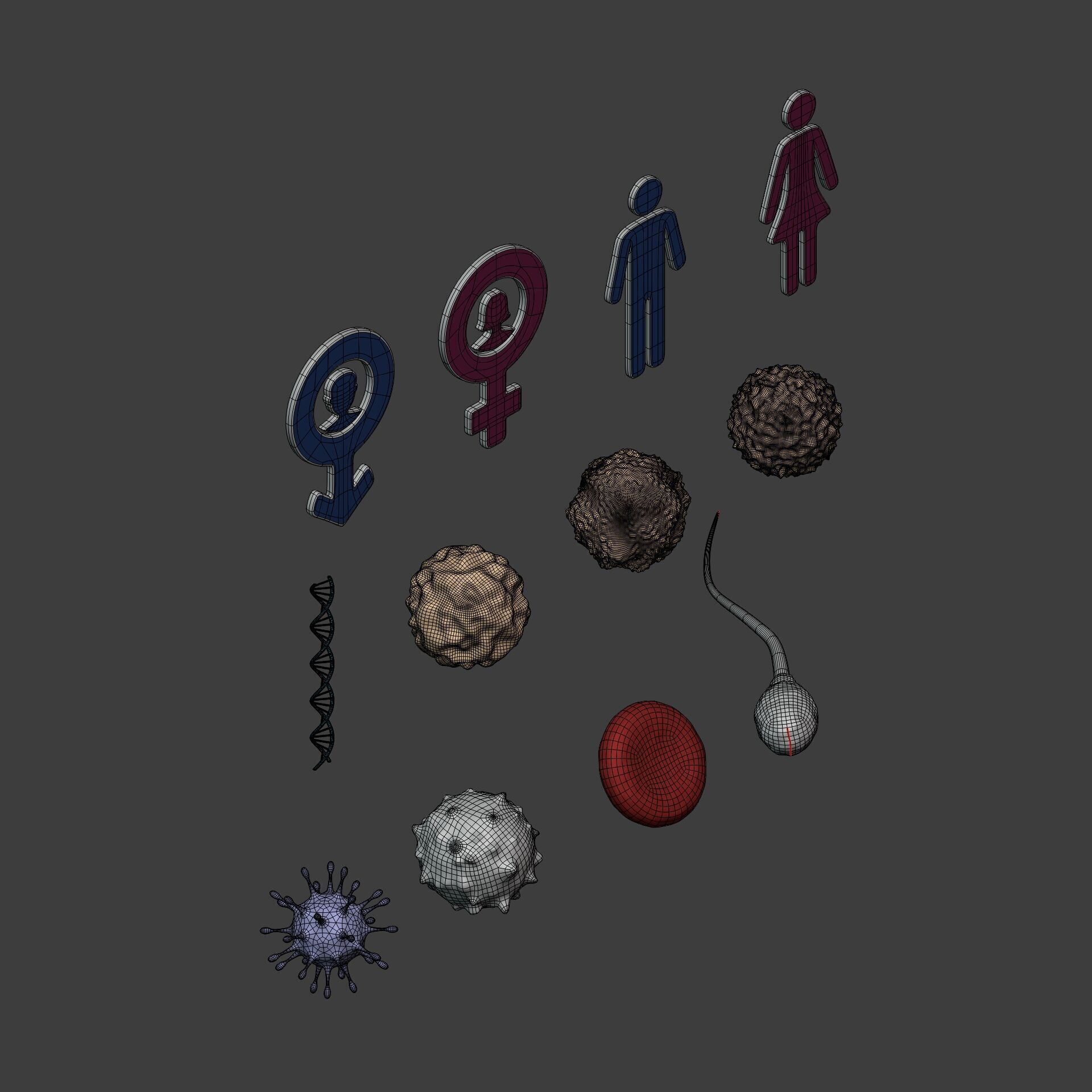 Anatomy Cell - DNA - RNA - Molecule - Helix - Genomic Design 3D model_5