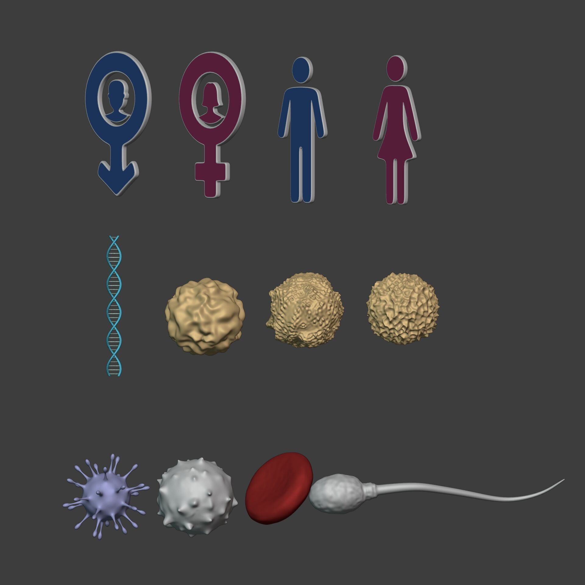 Anatomy Cell - DNA - RNA - Molecule - Helix - Genomic Design 3D model_2