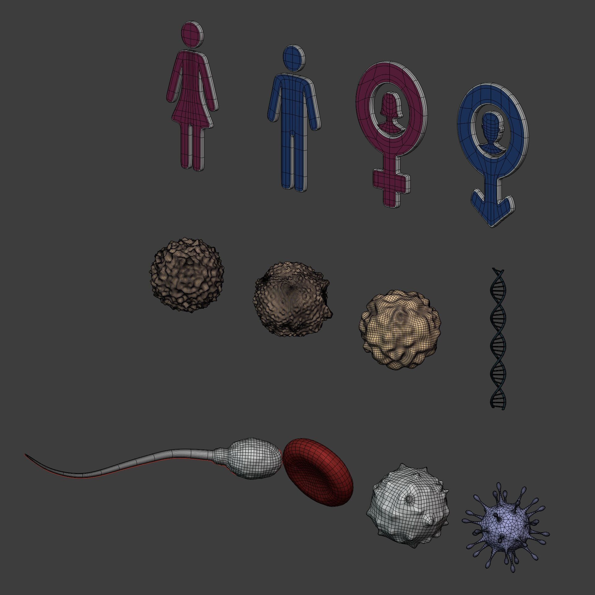 Anatomy Cell - DNA - RNA - Molecule - Helix - Genomic Design 3D model_7