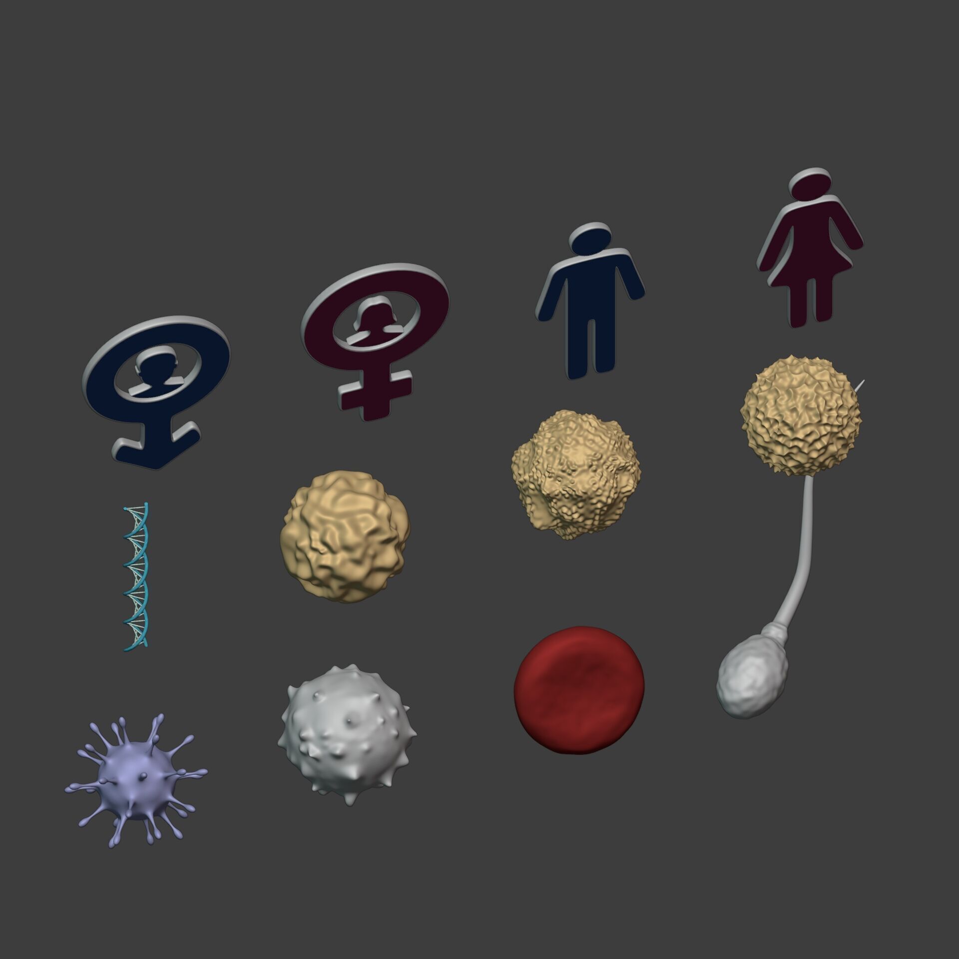 Anatomy Cell - DNA - RNA - Molecule - Helix - Genomic Design 3D model_8