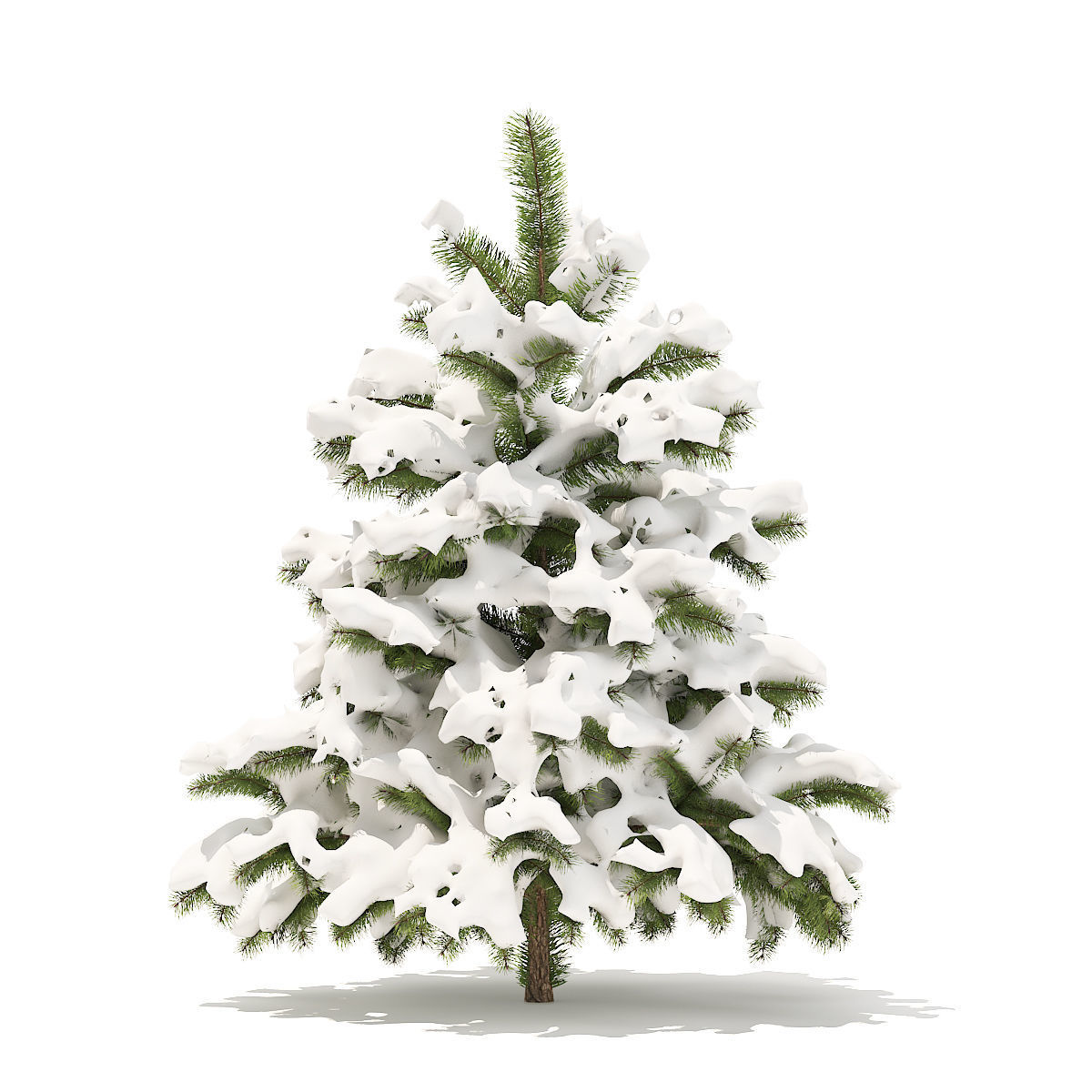 Pine Tree with Snow 1point4m 3D model_3