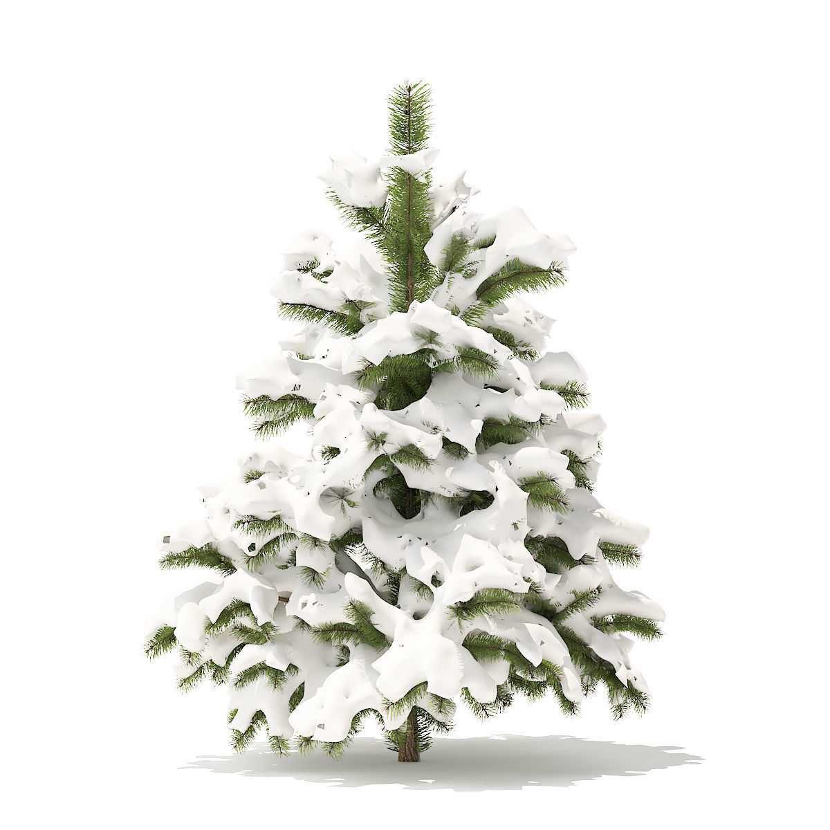 Pine Tree with Snow 1point4m 3D model_2