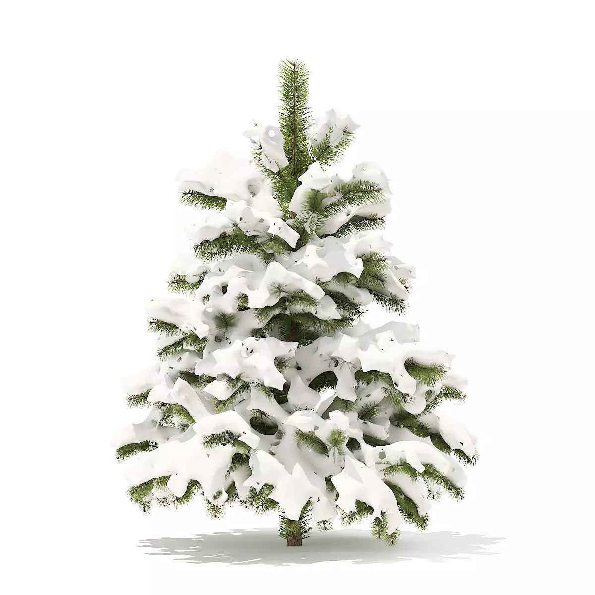 Pine Tree with Snow 1point4m 3D model_0