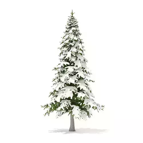 Fir Tree with Snow 5point9m
