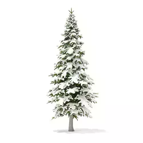 Fir Tree with Snow 4point5m