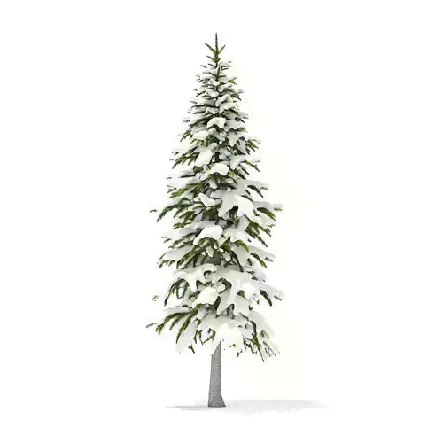 Fir Tree with Snow 3point4m