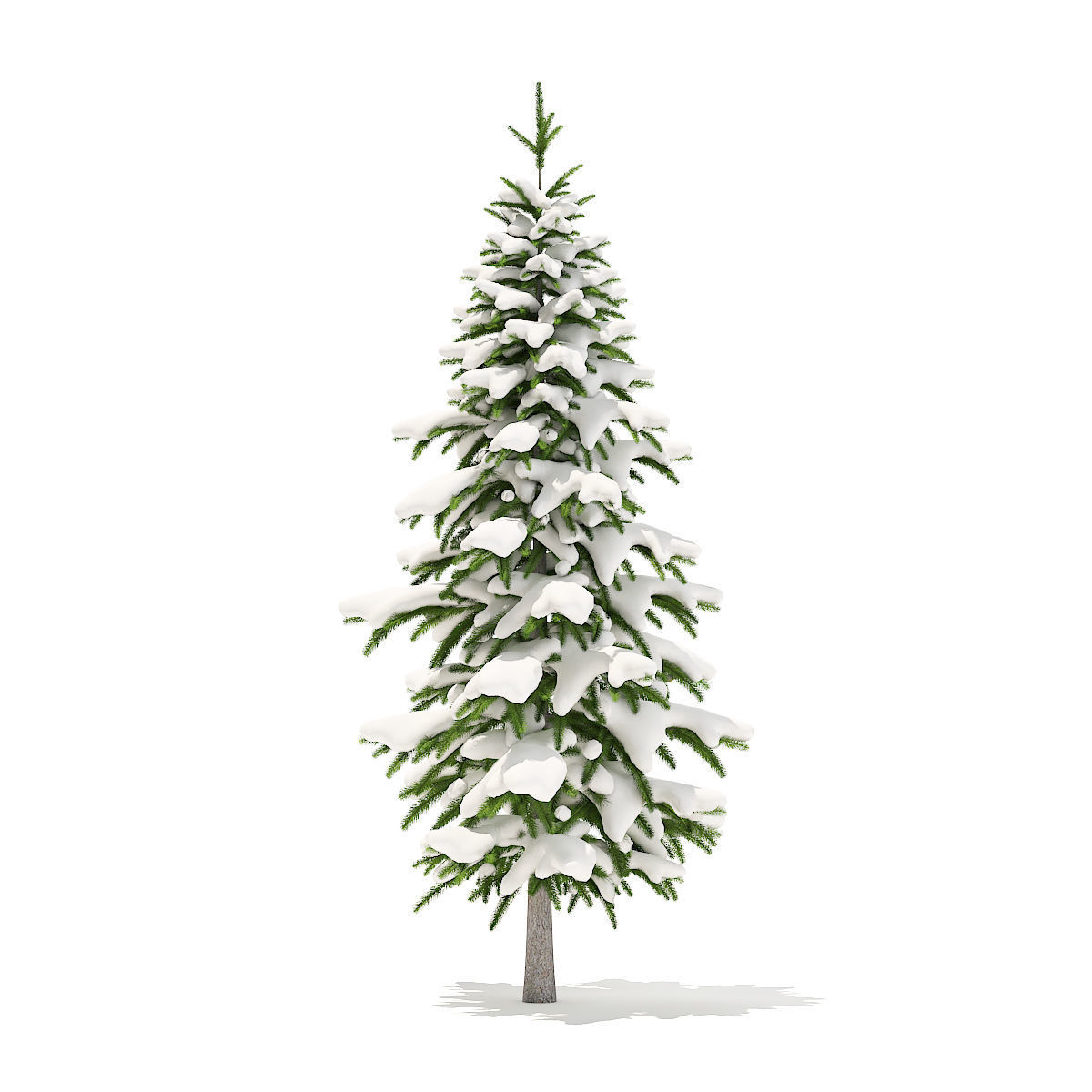 Fir Tree with Snow 2point6m 3D model_3