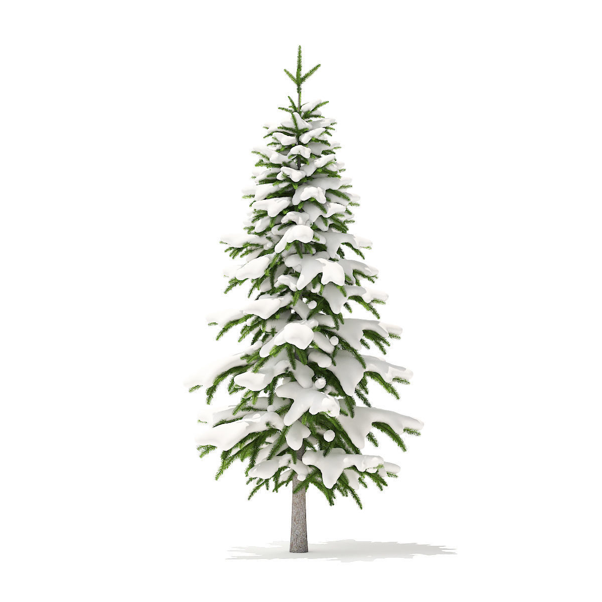 Fir Tree with Snow 2point6m 3D model_2