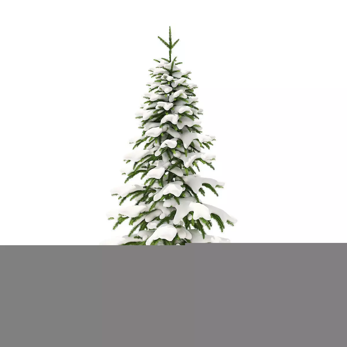 Fir Tree with Snow 2point6m 3D model_0