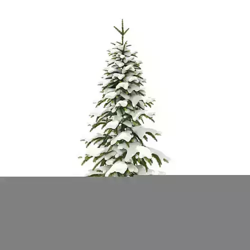 Fir Tree with Snow 2point6m 3D model