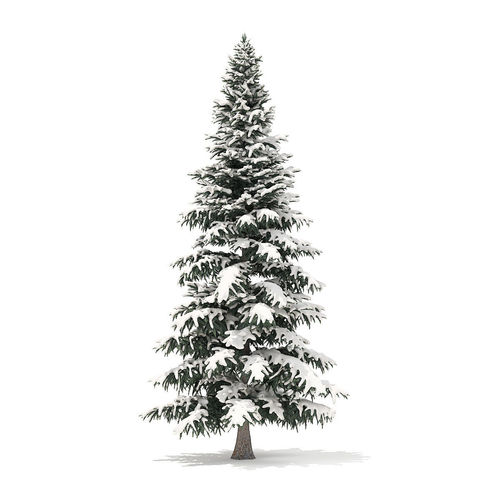 Spruce Tree with Snow 8m 3D model