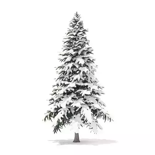 Spruce Tree with Snow 4point4m