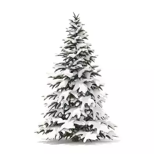 Spruce Tree with Snow 2point8m