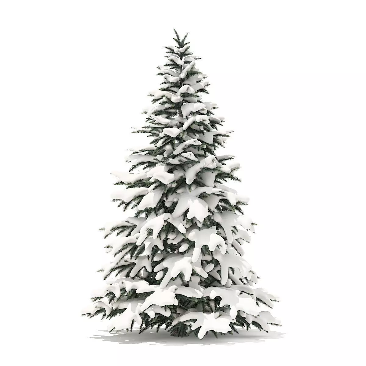 Spruce Tree with Snow 2point8m 3D model