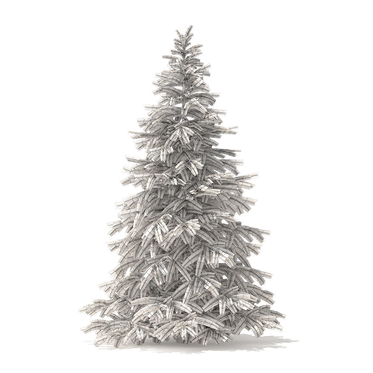 Spruce Tree 2point8m 3D model_6