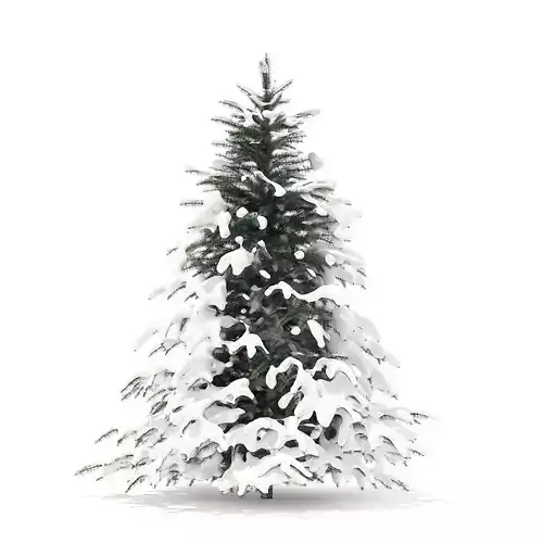 Spruce Tree with Snow 2point3m